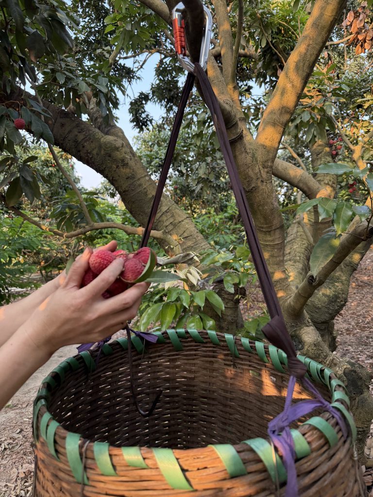 A2020TN-1  Silver Three-Segment  Carabiner