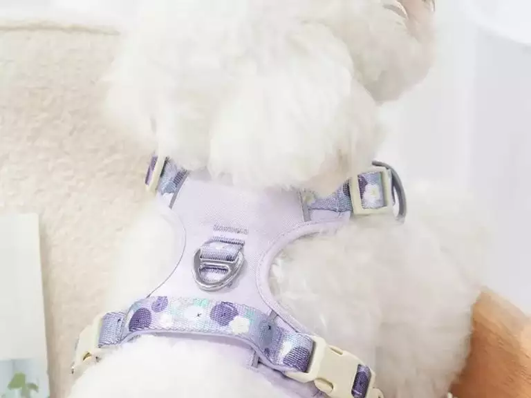 Dog Handing Carabiner