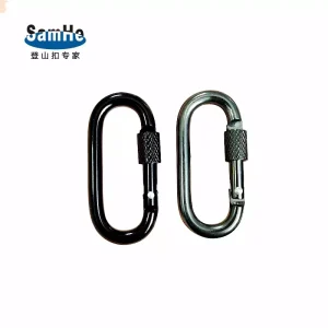 Which Carabiner Fits Your Needs?