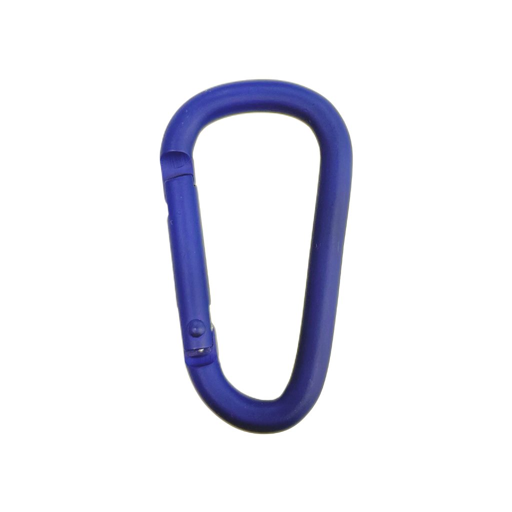 New product launch of buckle | A new visual and practical companion for promotional brands